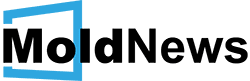 MoldNewsHub