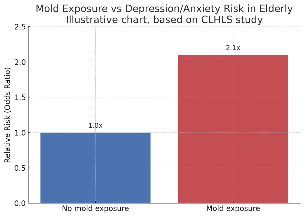 Mold Exposure Vs Mental Health
