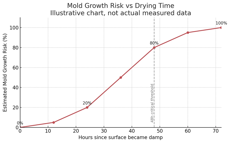 Mold Growth 48h Rule