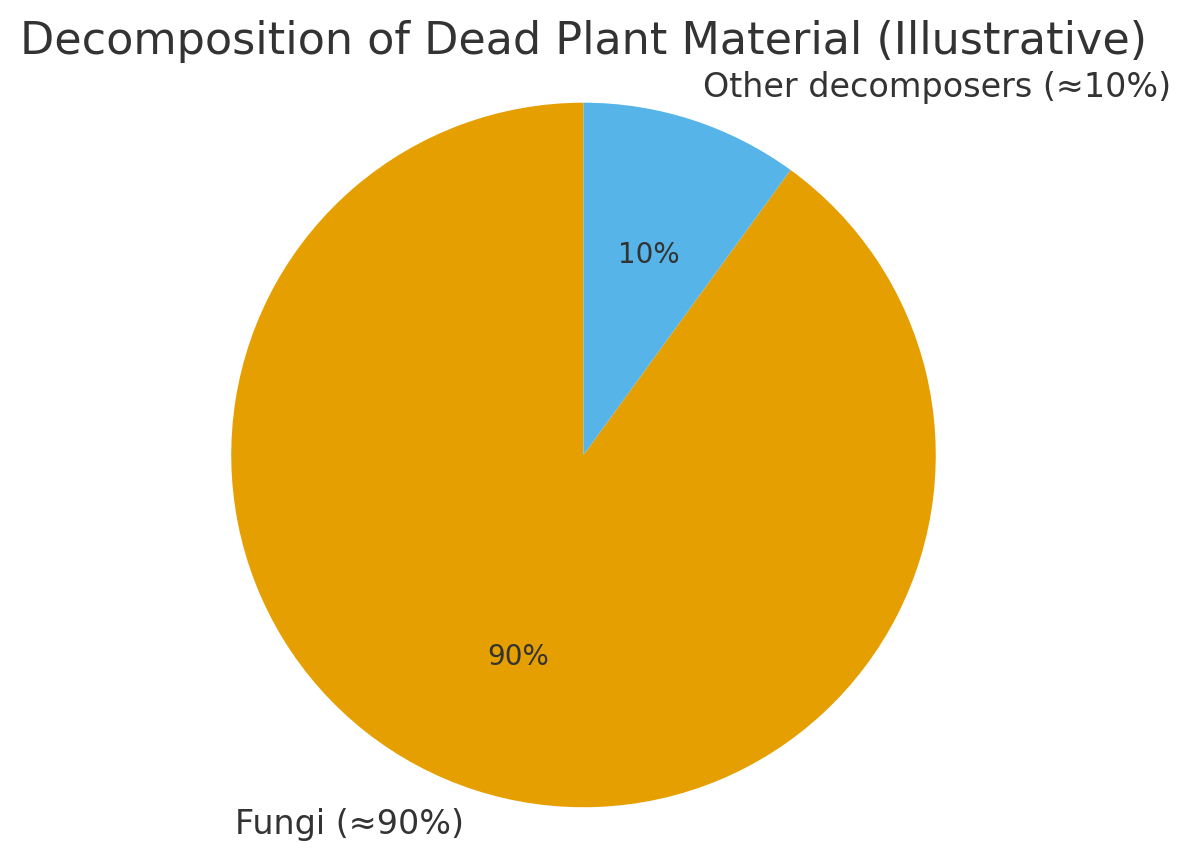 Fungi Decomposition Pie 1