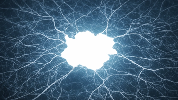 Mold News Mycorrhizal Research Gaps