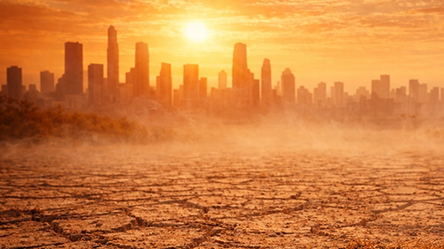 Mold News Climate Adaptation Temperature