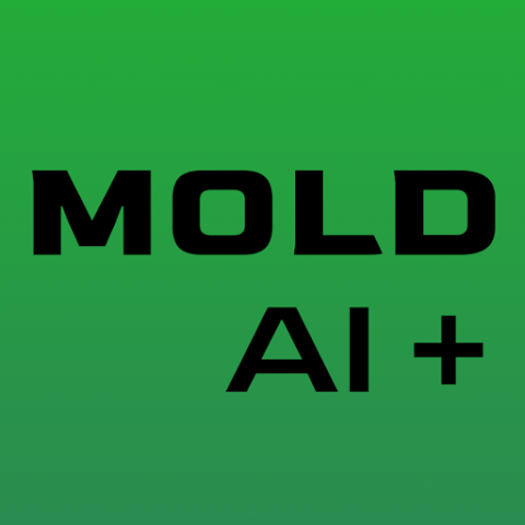 Mold AI+
